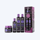 Kit Capilar Profissional Matizador Color Plus Blond Alquimia Cósmeticos com 4 itens